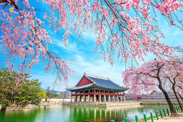 Hướng dẫn xin visa Hàn Quốc chi tiết từ A-Z cho chuyến du lịch tự túc
